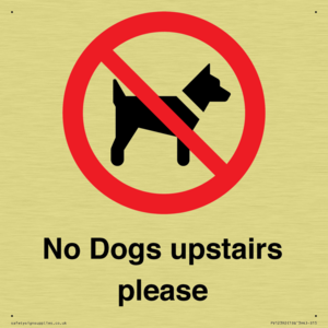 No Dogs upstairs please 